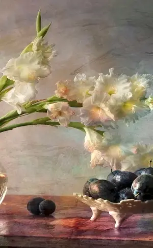 Photo still lifes Anna Sheveleva
