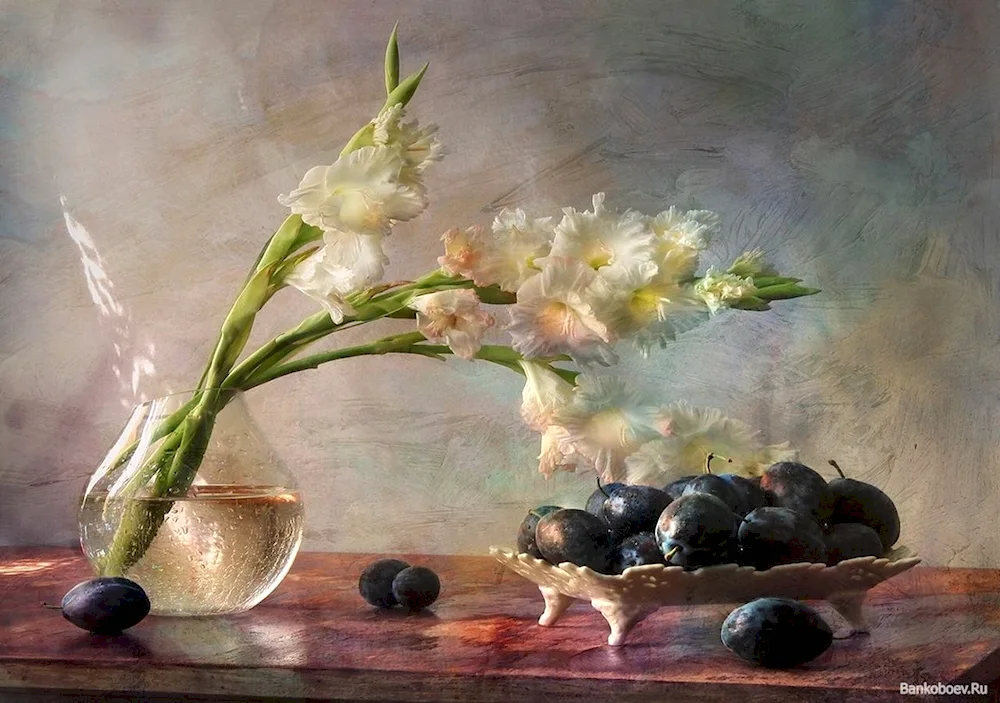 Photo still lifes Anna Sheveleva