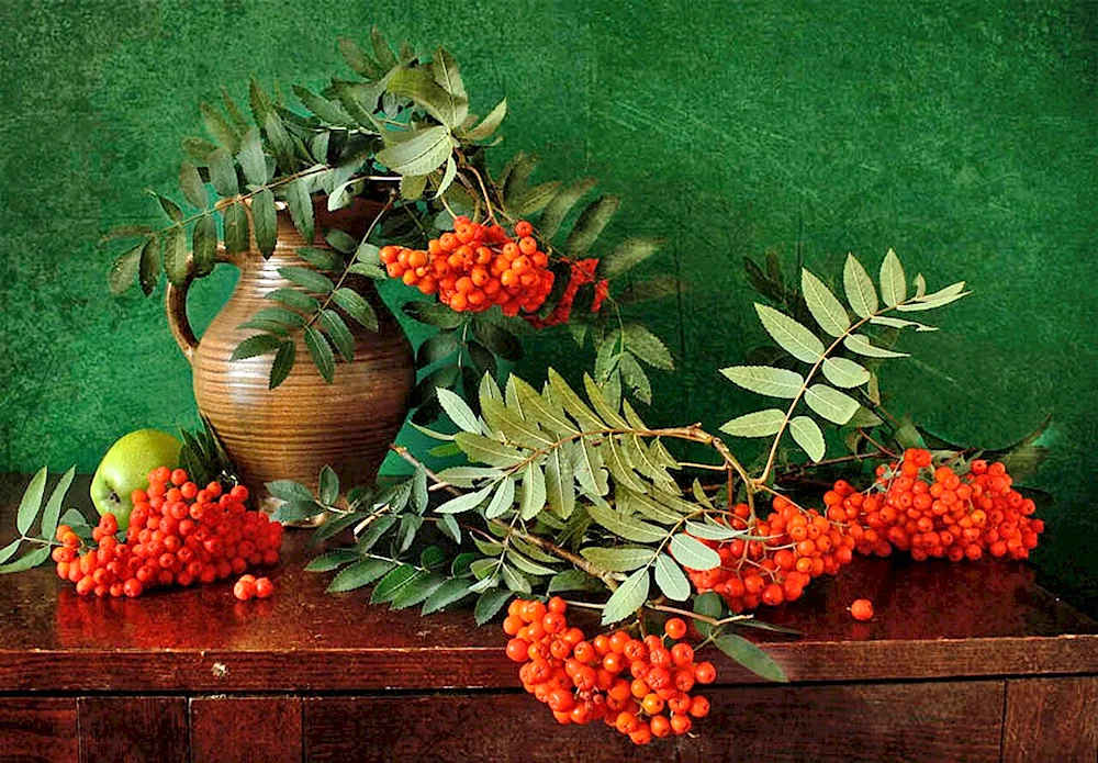 Photon still life by Elen Gardzey
