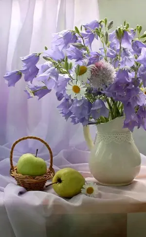 Photo still lifes by Marina Volodko