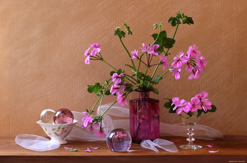 Photon still life by Olga Lukina