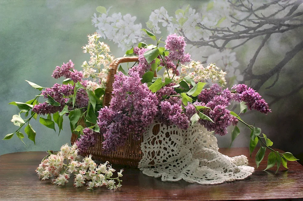 Lilac still life with lilacs