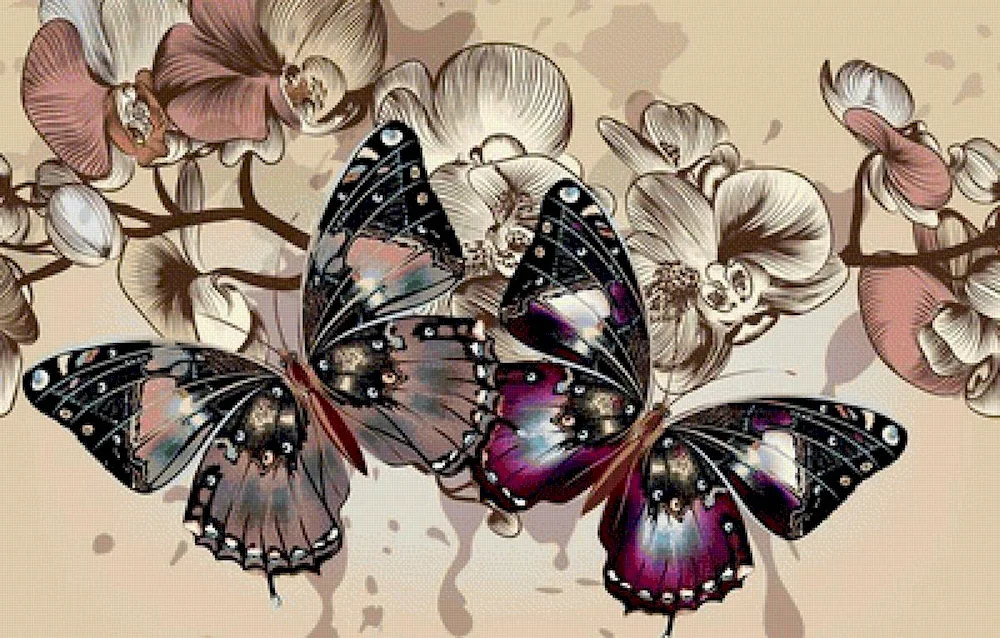 Rainbow butterflies