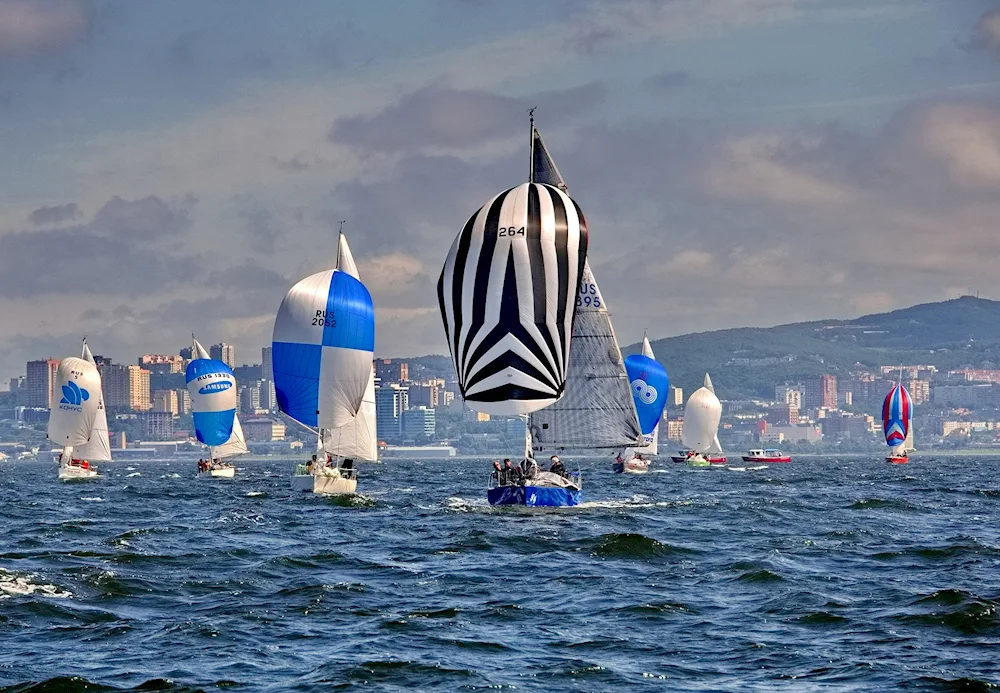 Photo wallpaper on working sailing regatta