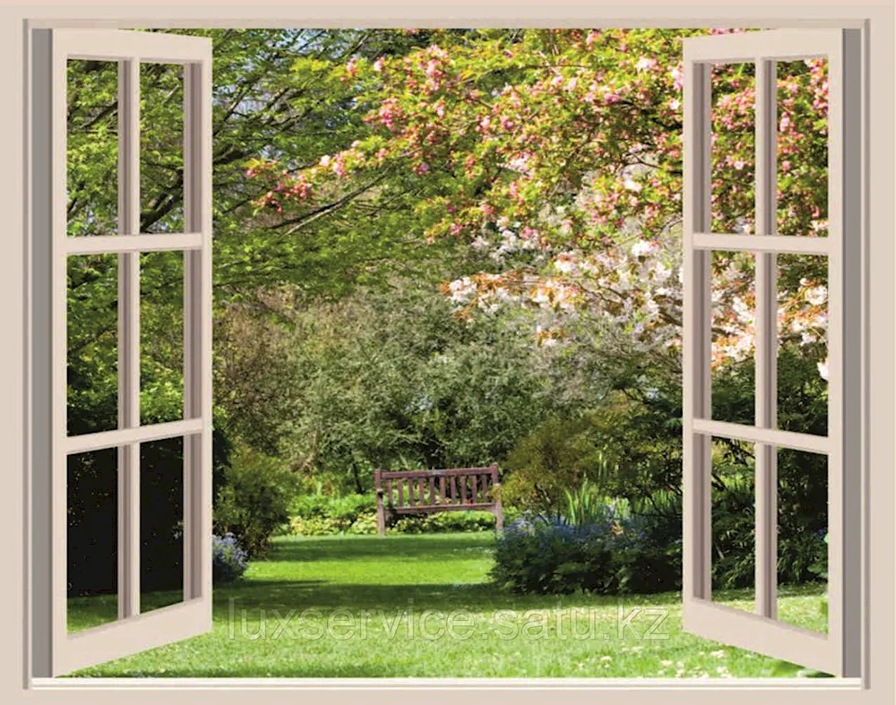 Flowers on the window