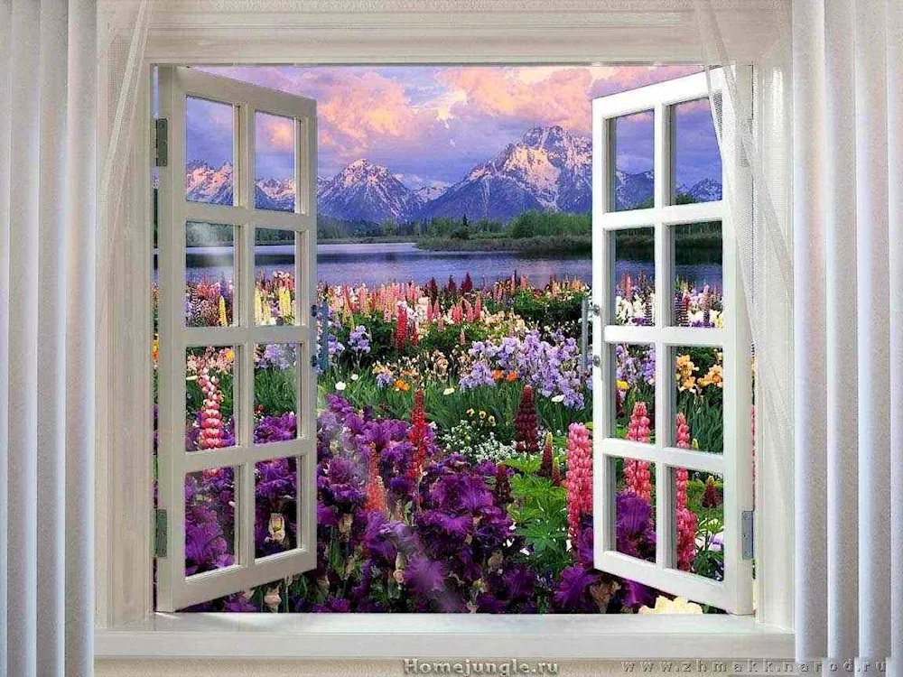 Garden window photo wallpaper