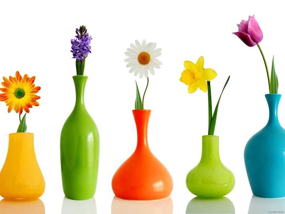 Foto wallpaper flower vases