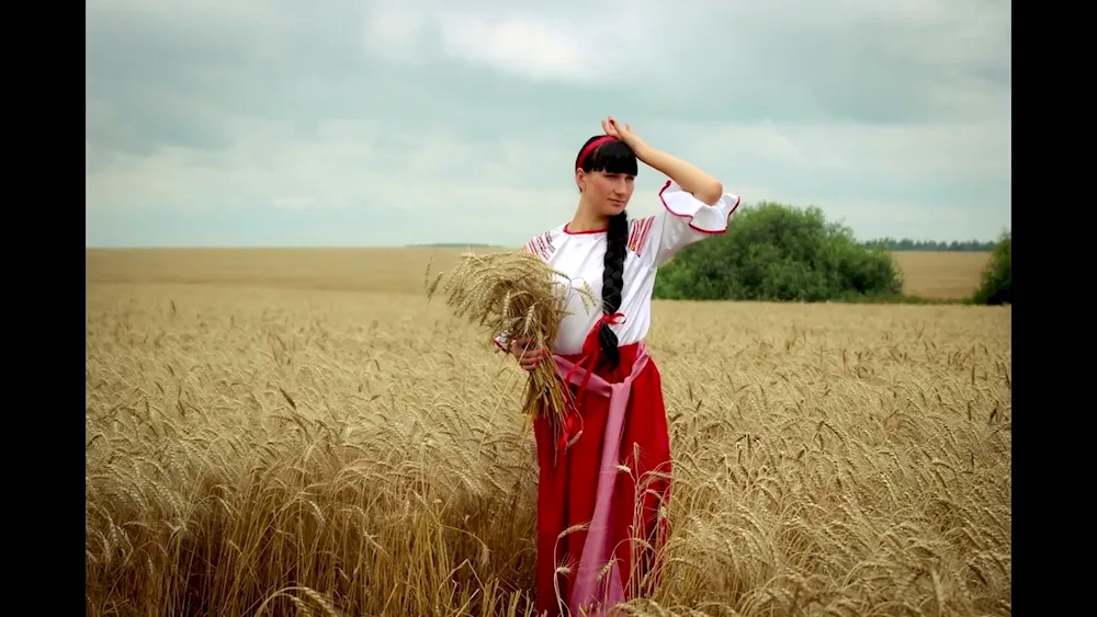 Kuban Cossacks Chub