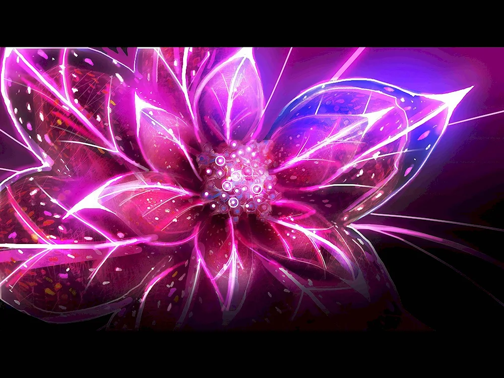 Fractal Lotus.