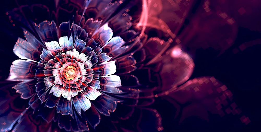 Fractals Flowers