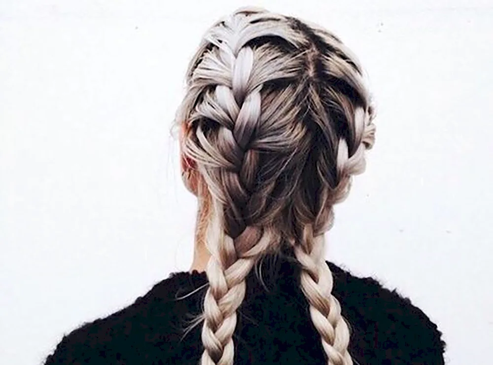 Braid hairstyles with braids