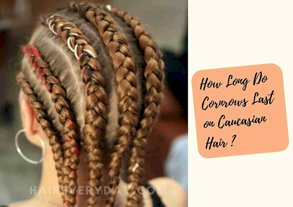 French braids many