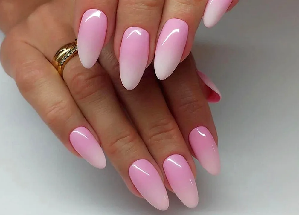 French gradient baby boomer
