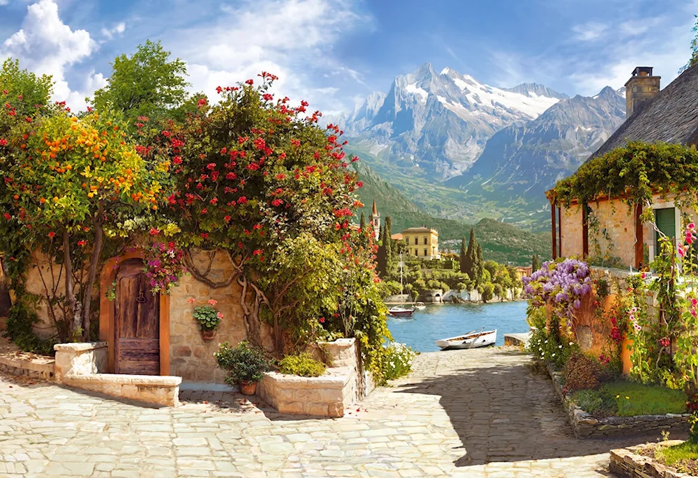 Artist Alois Arnegger