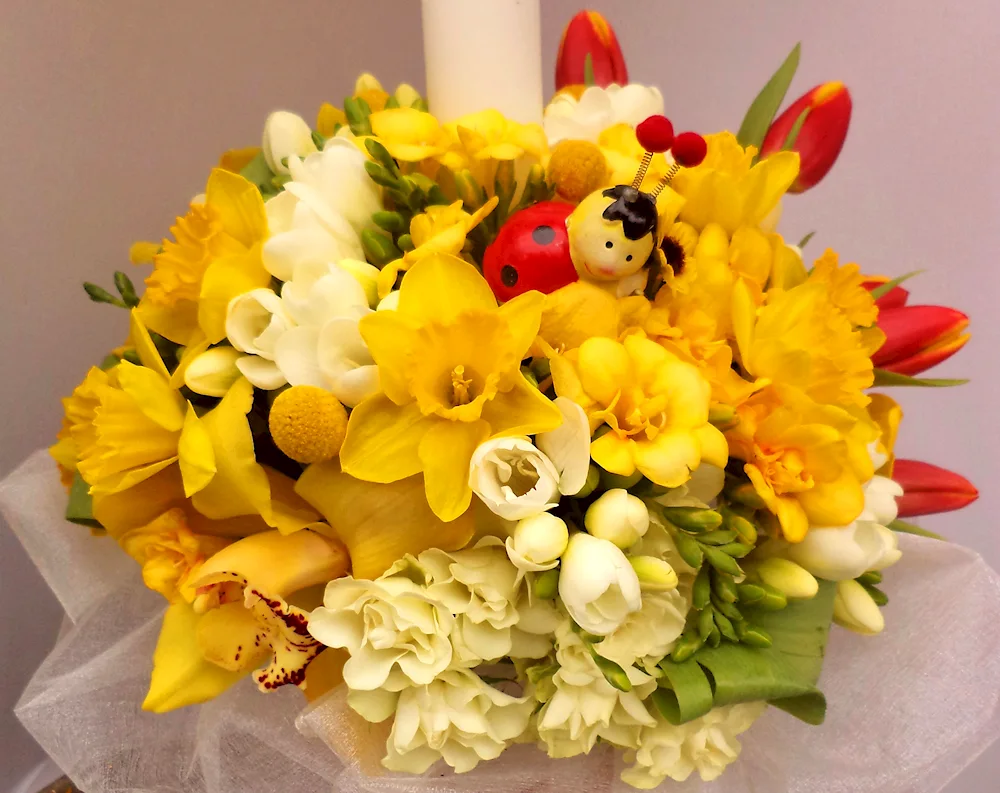 Narcissus flowers bouquet