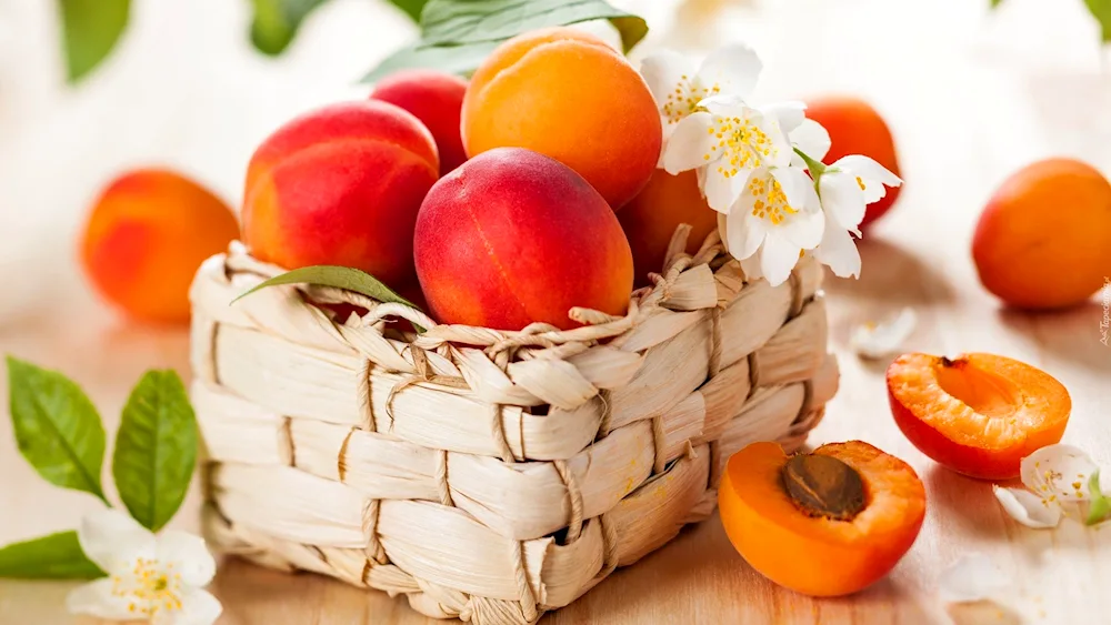 Fruit with apricot and nectarine