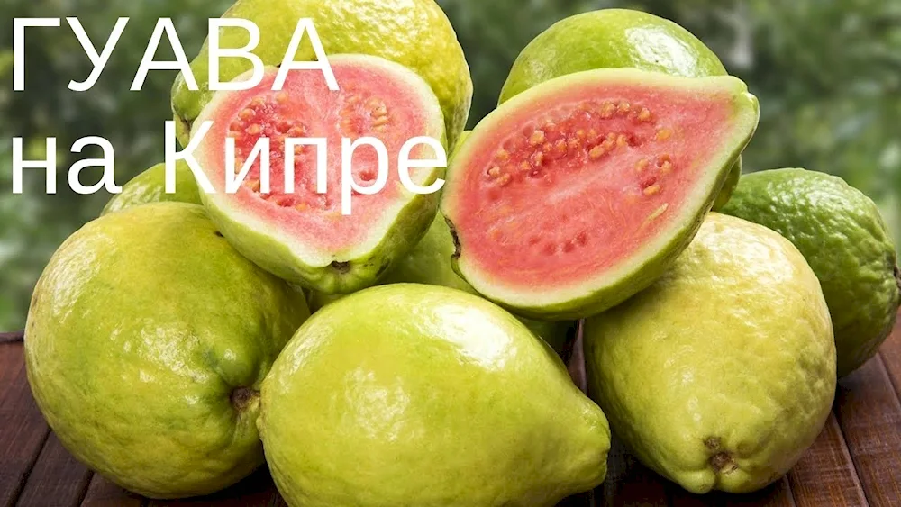 Guava fruit