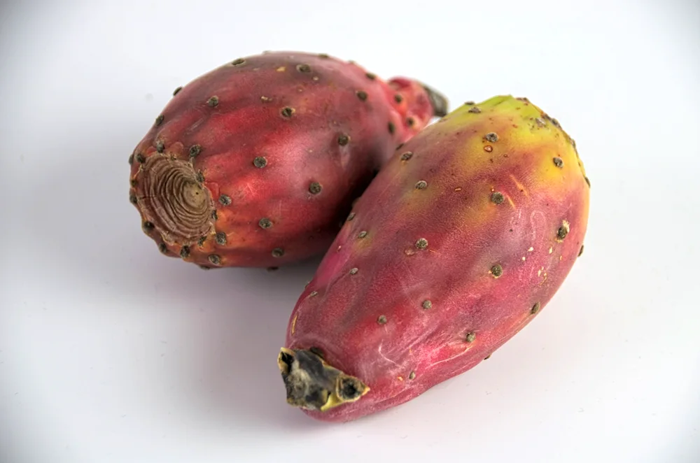 Pitahaya dragon fruit