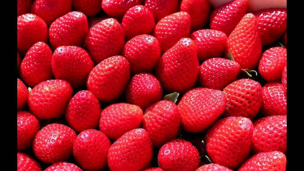 Red fruits and berries