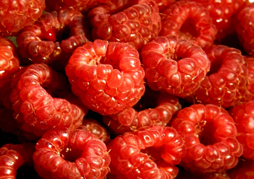 Fruits in red colour