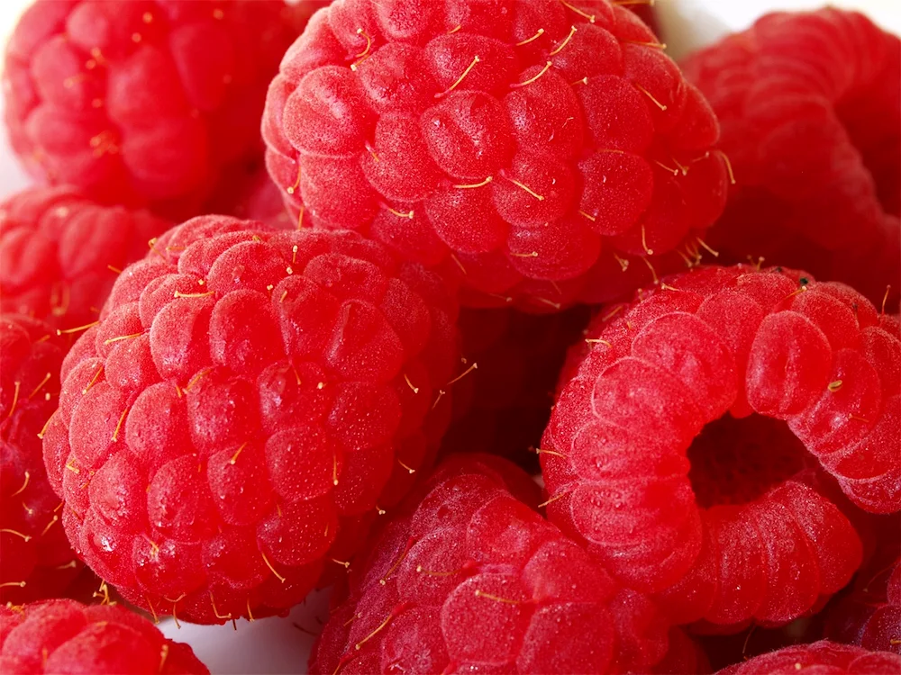 Fruits red berries