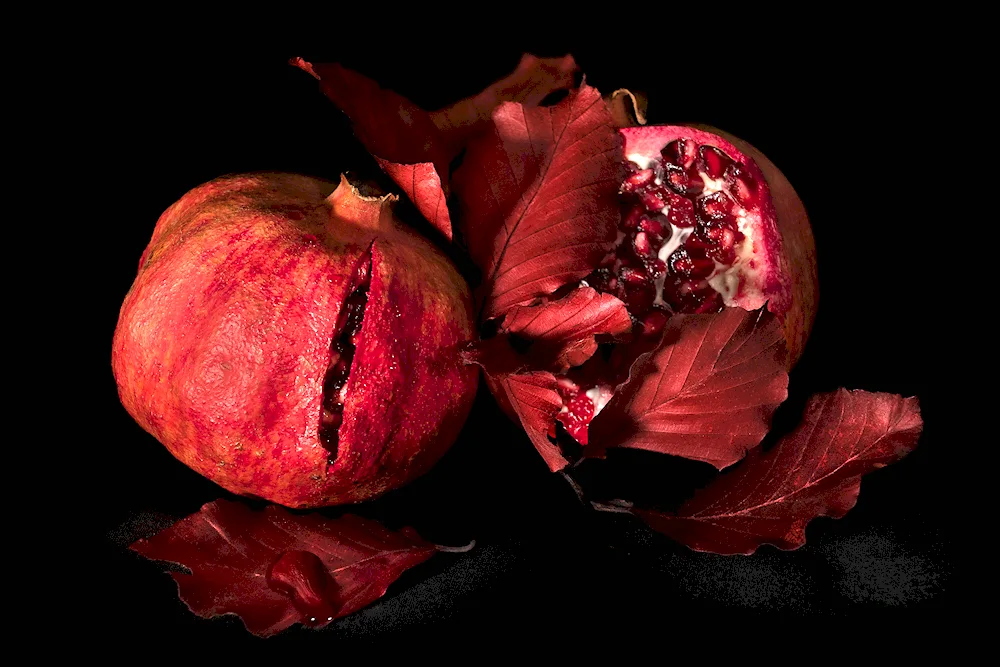 Pomegranate and quince still life by Meruzhan Khachatryan