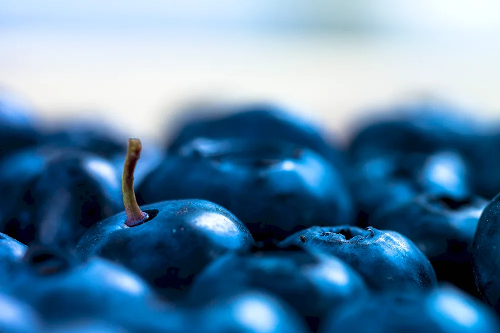 Blue fruit