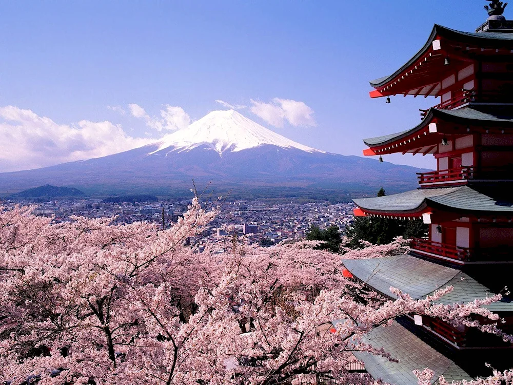 Fujiyama Japan