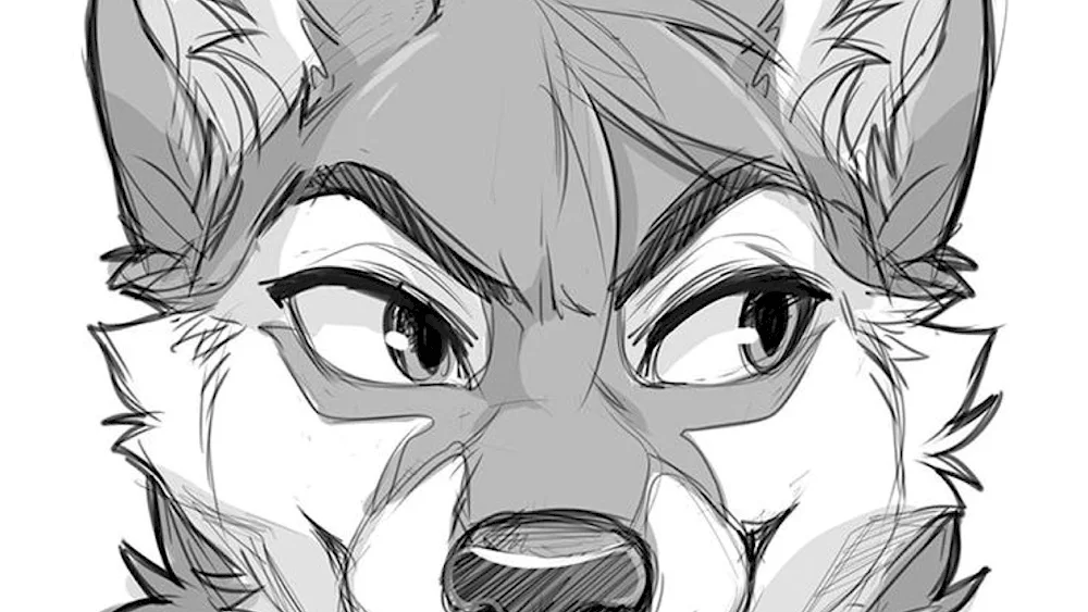 Furry pictures