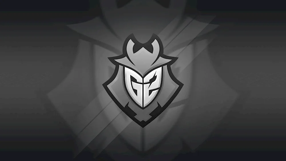 G2 cybersports team