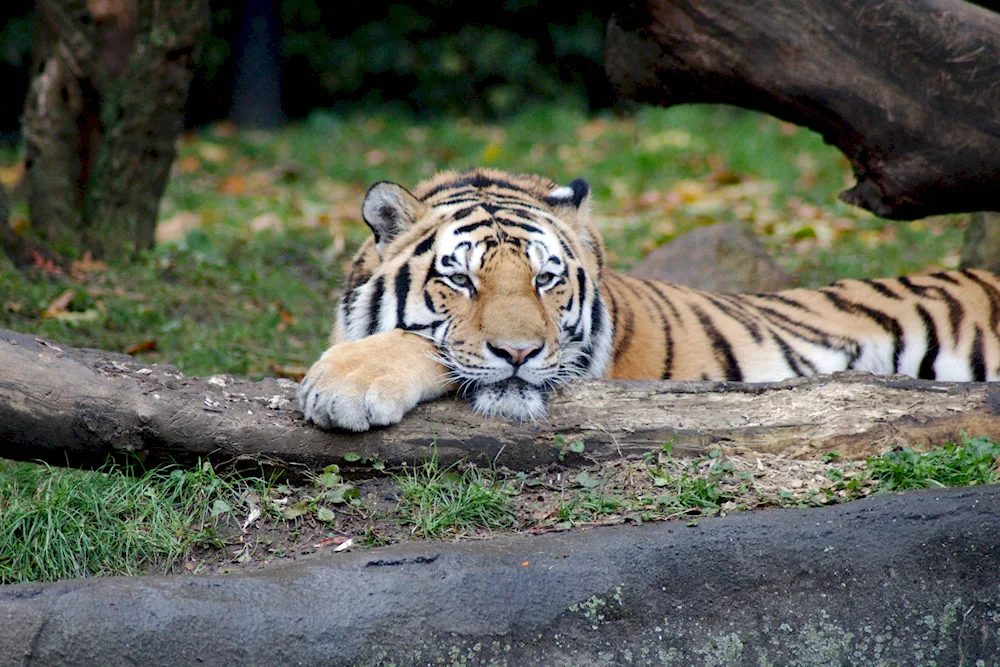 Hamburg Zoo