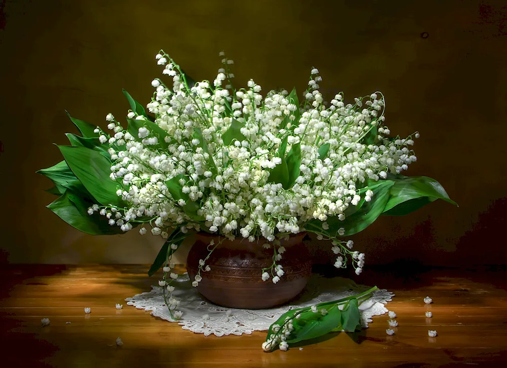 Gardner lilac lily of the valley