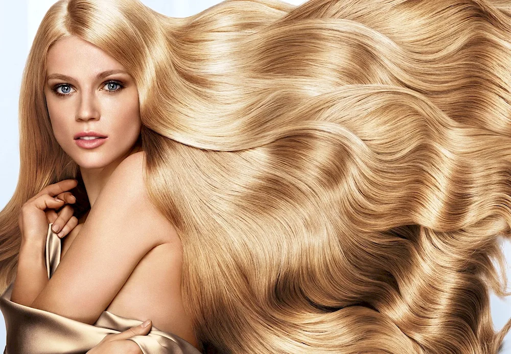 Garnier 9. 132 on hair