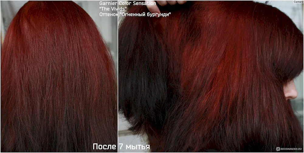 Garnier Color 5.62Garnier Color 5.62Garnier Color 5.62Garnier Sangria Ice Sangria hair colour
