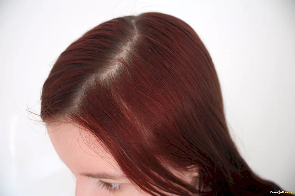 5.62Garnier Pomegranate