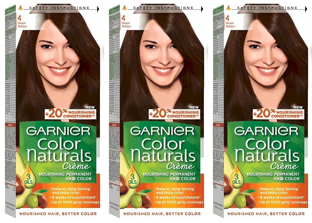 Garnier 6.46.