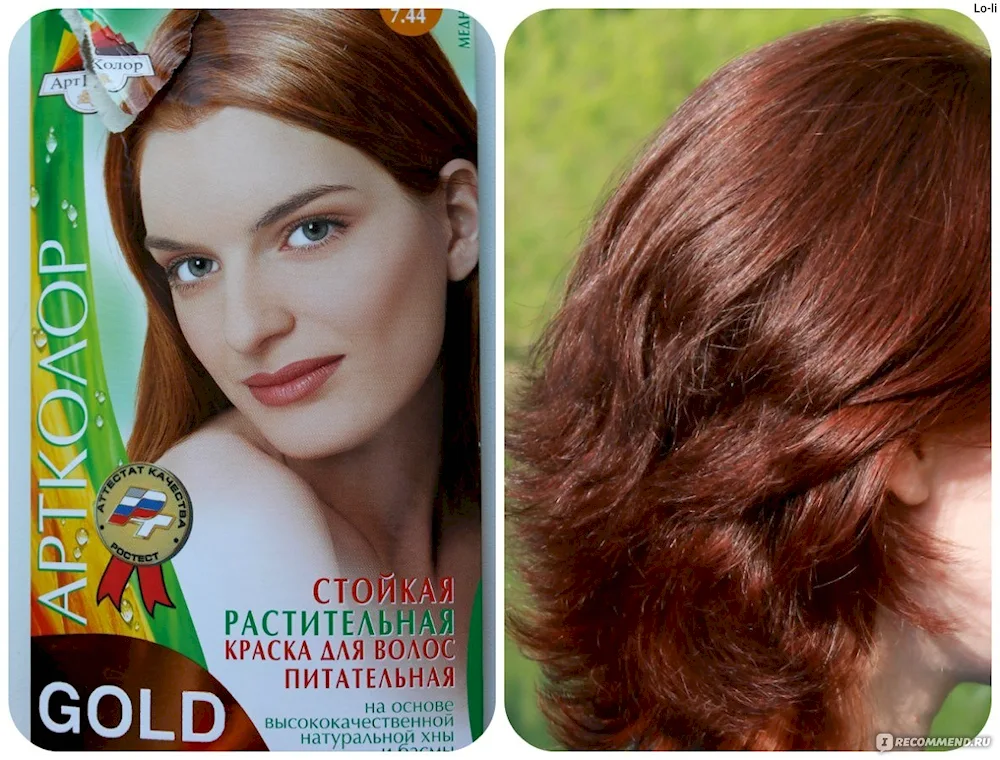 Garnier Copper Chestnut