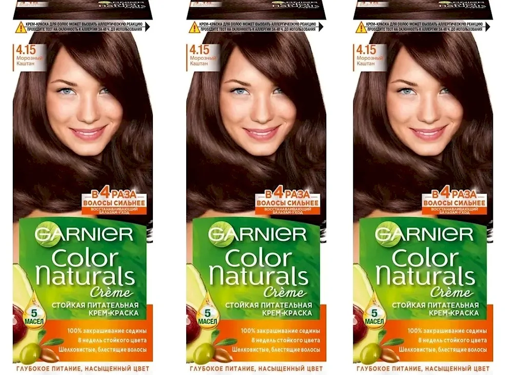 Garnier Frosty Chestnut