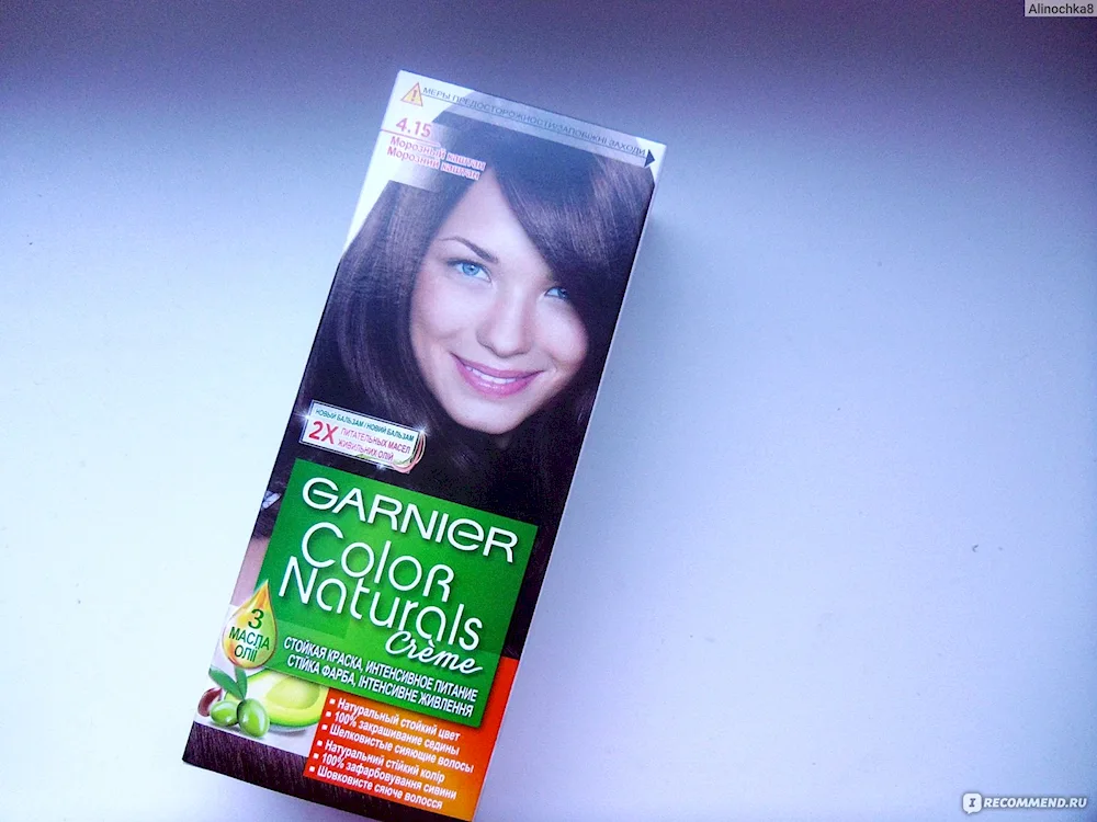 Garnier Frosted Chestnut 4.15