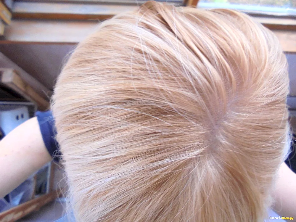 Hair colouring Krasnoyarsk blonde