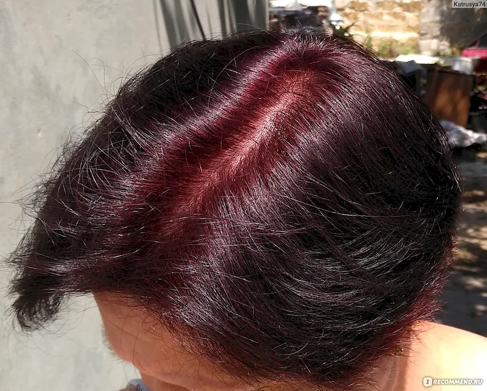 Garnier 3. 16 amethyst