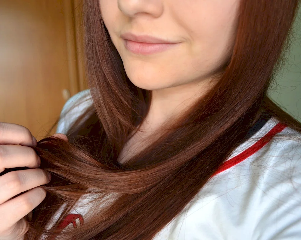 Garnier 5.23 Spicy Chestnut