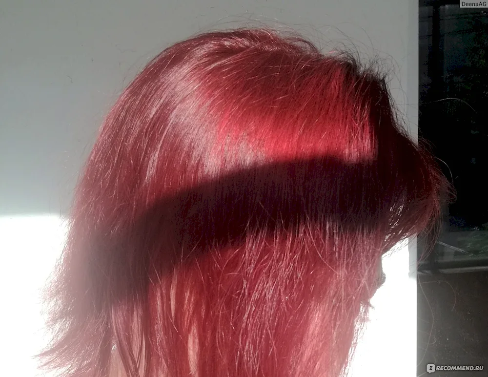 Garnier hair dye Royal Pomegranate