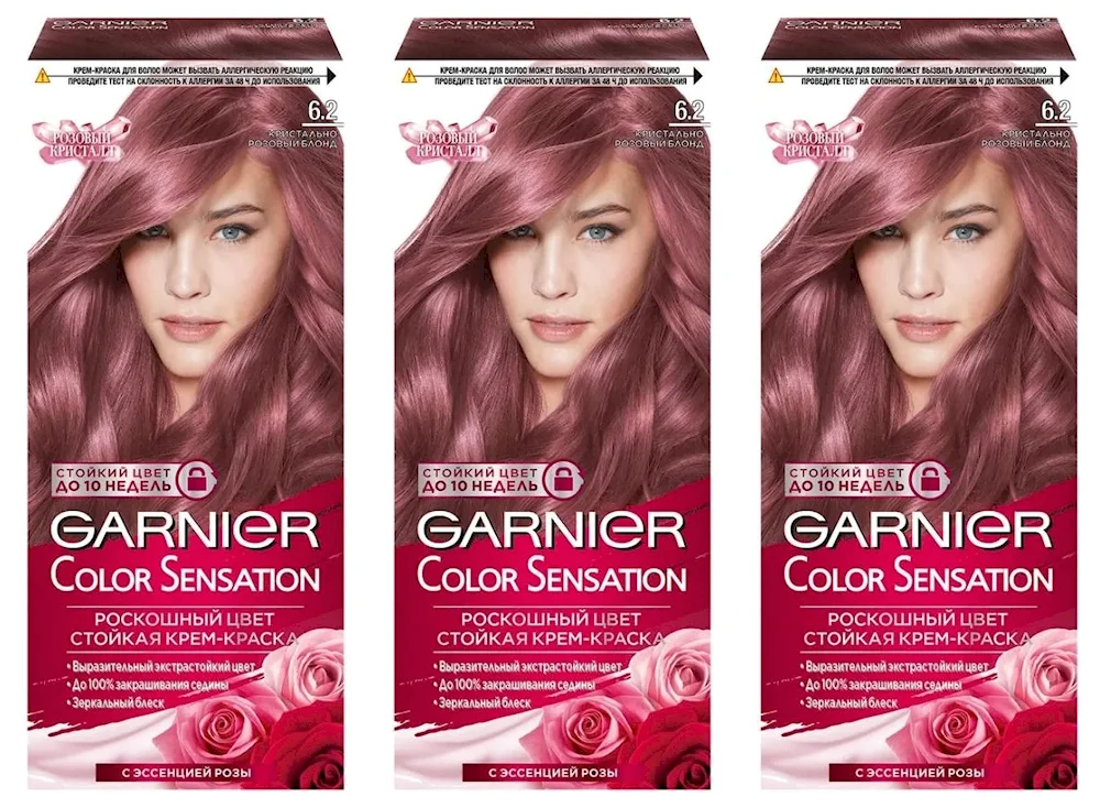 Garnier Color Sensation 6.2