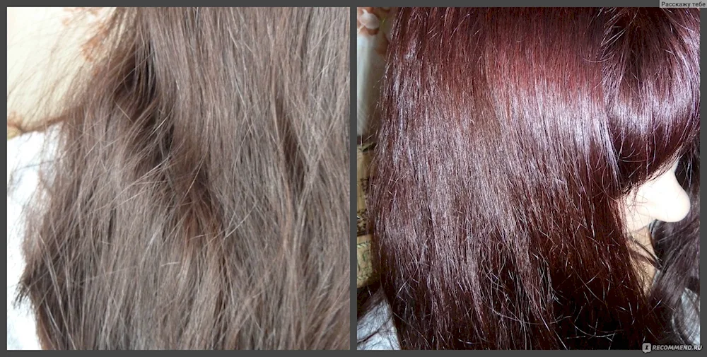 Garnier Royal Garnet