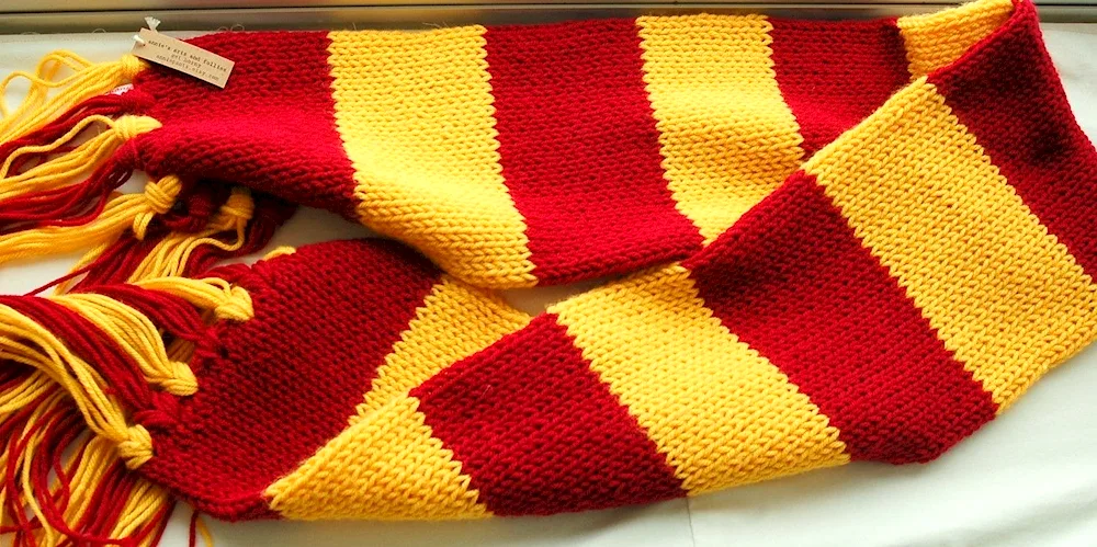 Harry Potter in Gryffindor scarf