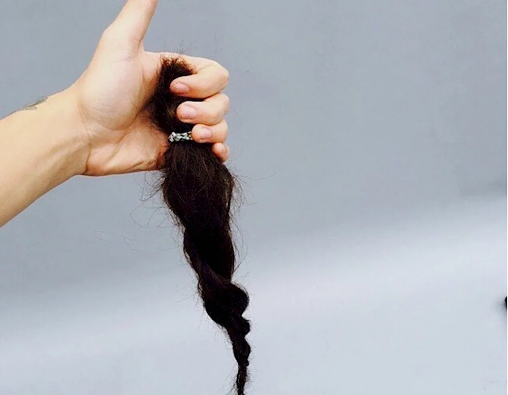 Harry Styles cut hair