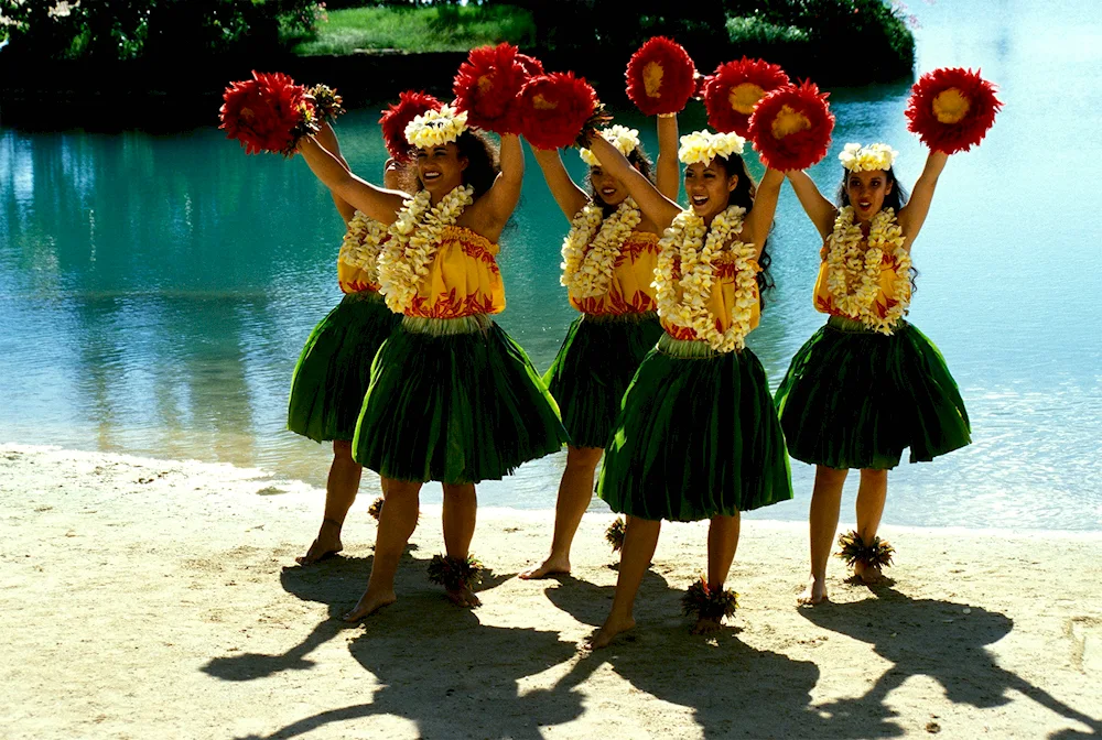 AlOHA Hawaii style party