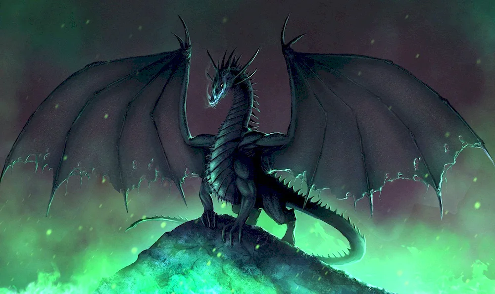 Hebridean black dragonHarry Potter's black dragon