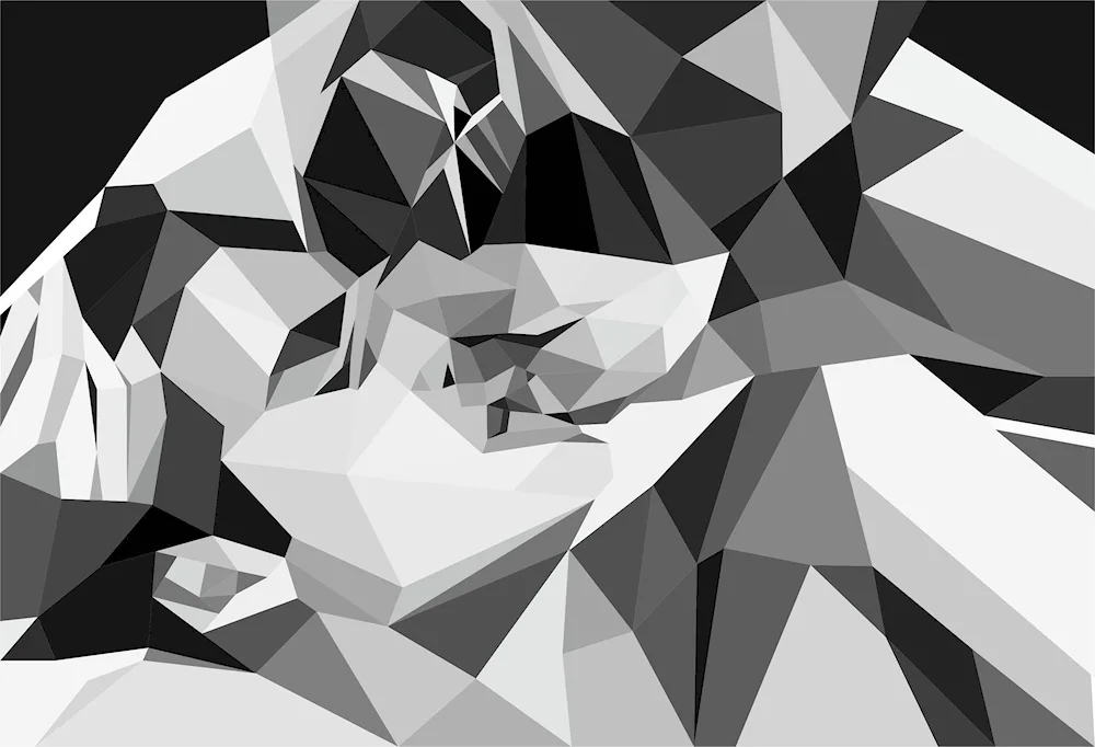 Geometric abstraction